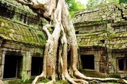The ruins of Angkor Wat - Highlights of Cambodia