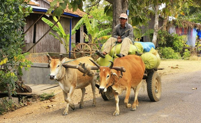 Local farmer in Kratie - Cambodia itinerary in 17 days