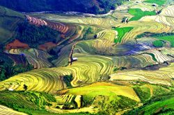 La vallée de Mu Cang Chai et ses rizières