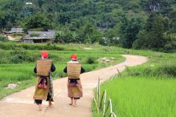 Explore local life of ethnic tribes in Sapa