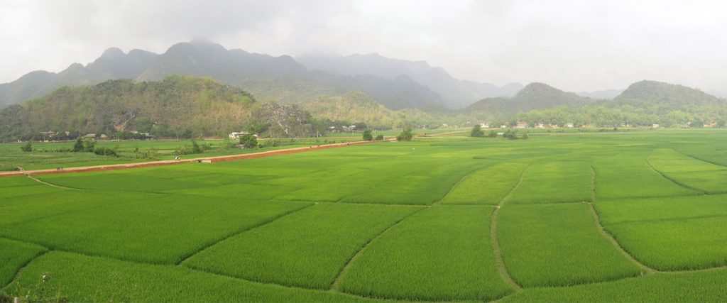 Mai Chau 