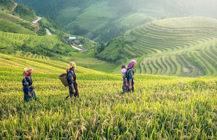 Vietnam holiday packages Sapa