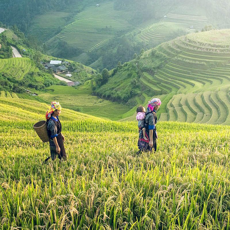 Vietnam holiday packages Sapa