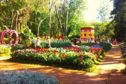 Kandawgyi Botanical Garden