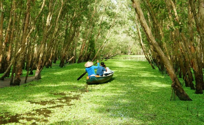 Take a local boat on Mekong delta is a must-do when in South of Vietnam