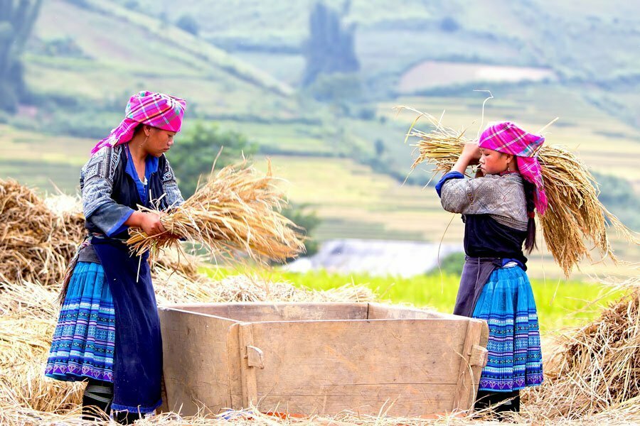 Best places to visit in Vietnam Mu Cang Chai