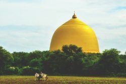 A yellow Burmese temple in Myanmar