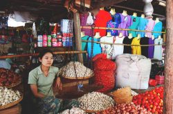 Burmese girl selling in the market
