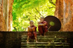 Burmese monks reading on the stairs - Myanmar tour of splendours
