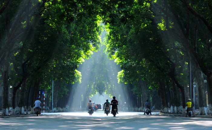 Peaceful streets in Hanoi