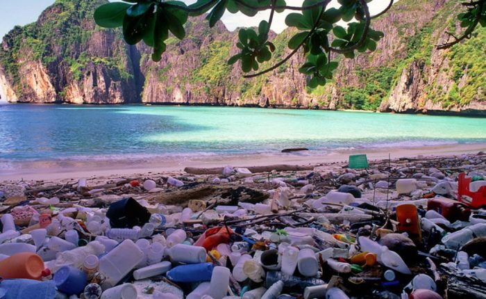 Maya Bay was closed down due to pollution