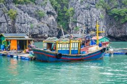 Fishing boat (Halong Bay) - Essential Vietnam tour