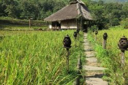 Kamu Lodge - Laos in-depth tour