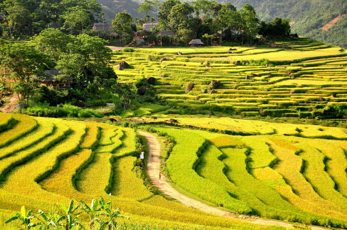 Rice terraces in Pu Luong - Vietnam Nature Tour with Hanoi Voyages