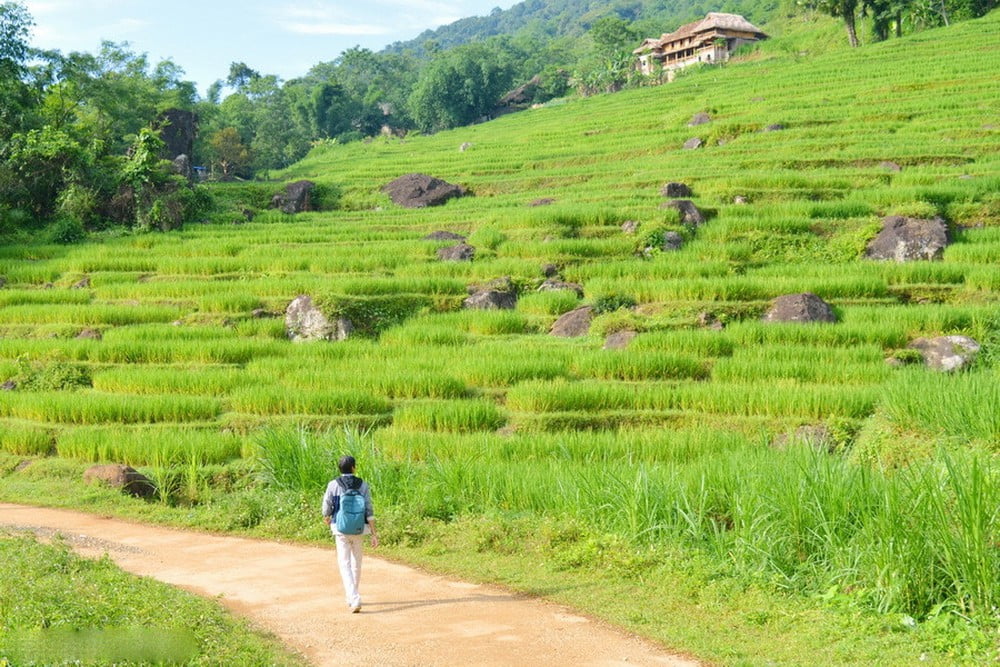 Pu Luong Trekking - Vietnam Nature Tour with Hanoi Voyages