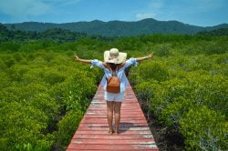 Mangrove walkway in Salakphet village (Koh Chang) - Passion Thailand in 14 days