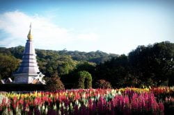 Explore the nature at Doi Inthanon National Park, Chiang Mai - Highlights of Thailand tour