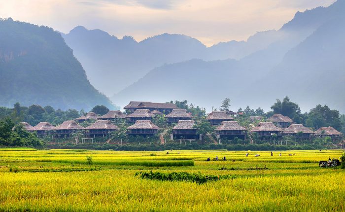 Mai Chau Ecolodge overview