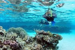 Explore the underwater world in Kohchang - Passion Thailand in 14 days