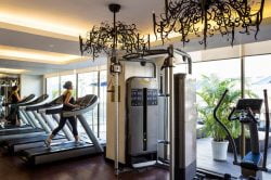 hotel de l opera hanoi fitness with a trainer
