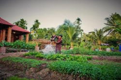 Mekong Rustic Garden