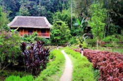 Panhou Village Path