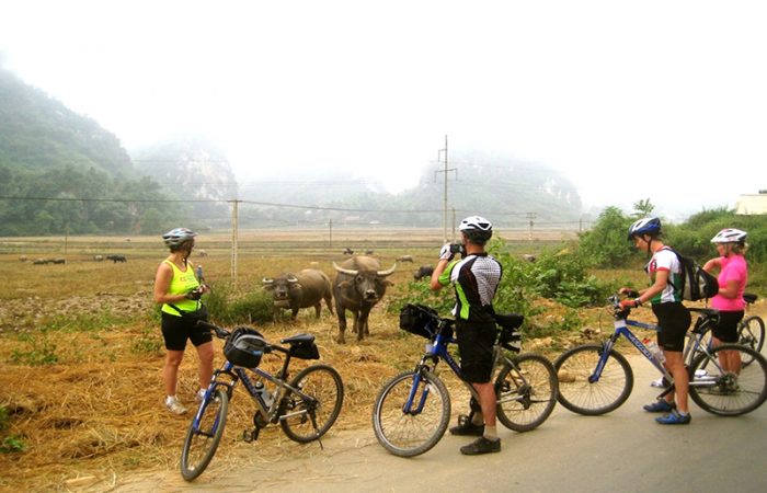 Tam Coc Rice Fields Cycling