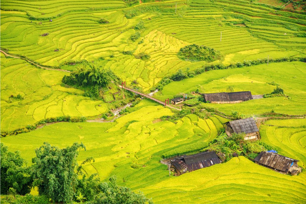 Beautiful view of house and village in rice terrace at Tu Le, Mu Cang Chai